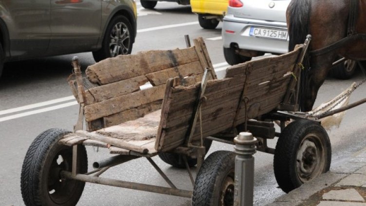 Снимка: архив, Булфото