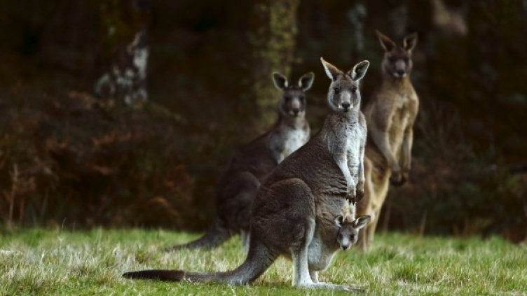 Снимка: Reuters, архив