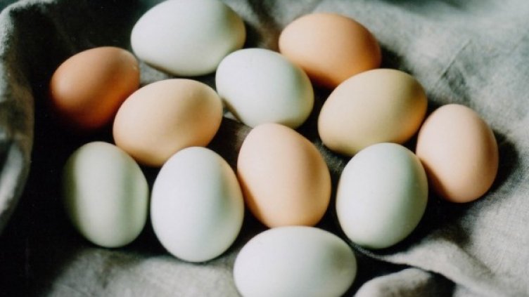 Снимка: flickr