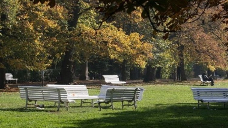 Архив: Булфото