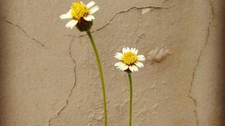 Снимка: Instagram