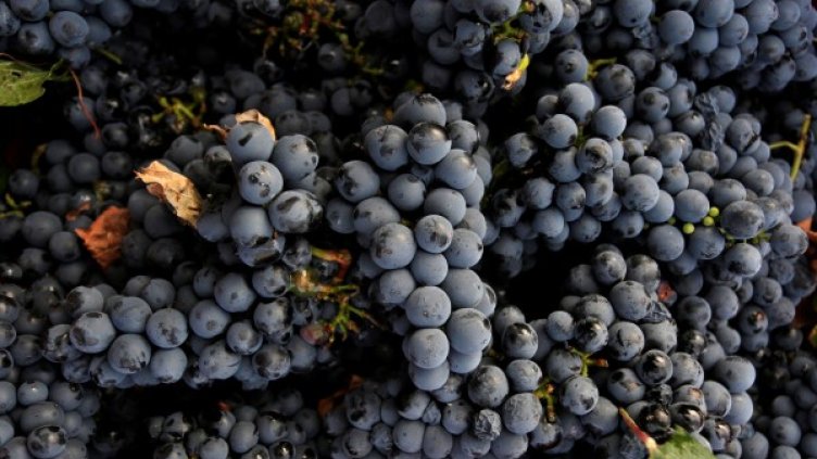 Снимка: Reuters, архив