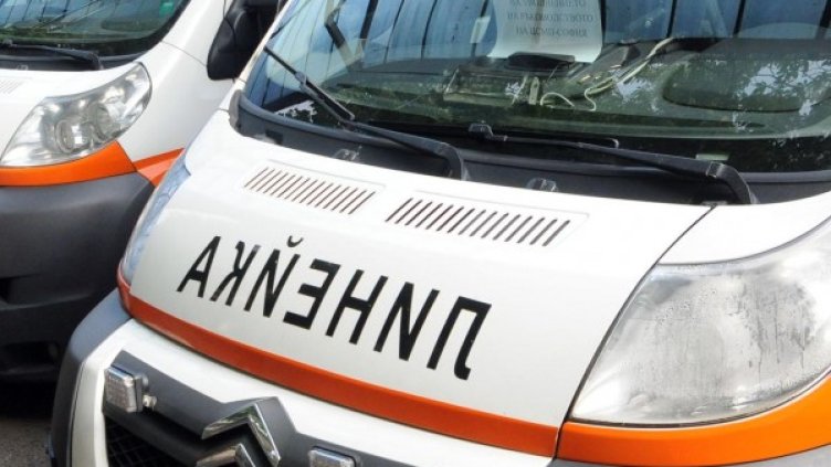 Снимка: архив Булфото