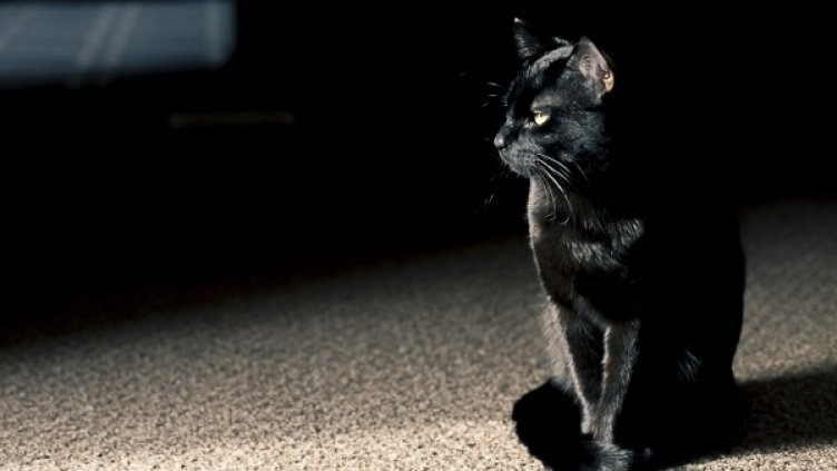 Снимка: Flickr