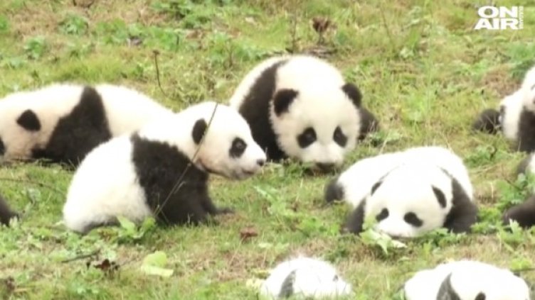 Снимка: Bulgaria On Air