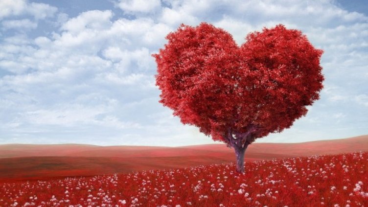 Снимка: pexels