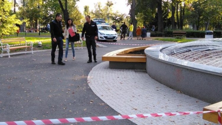 Снимка: Дарик