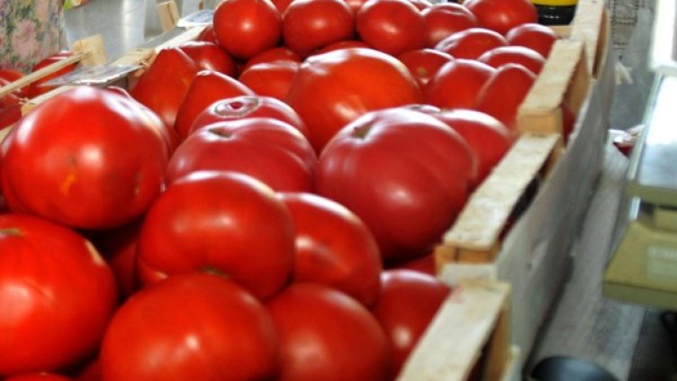 Снимка: Булфото, архив