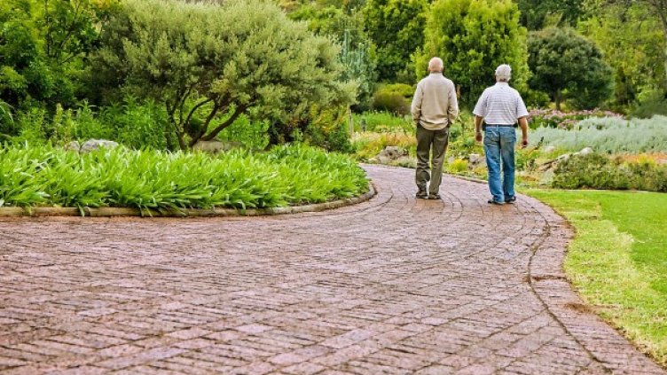 Снимка: pixabay.com