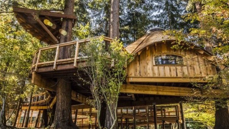 В Microsoft вече дават да се работи и по дърветата... В къщички!