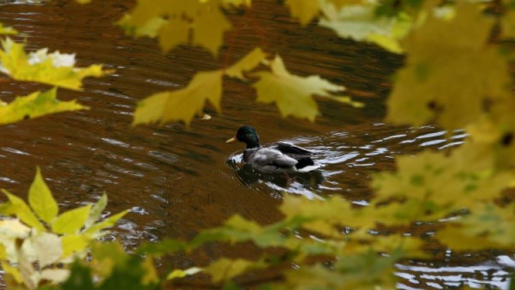Снимка: Reuters, архив