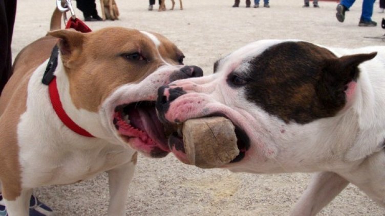 Снимка: архив, Reuters