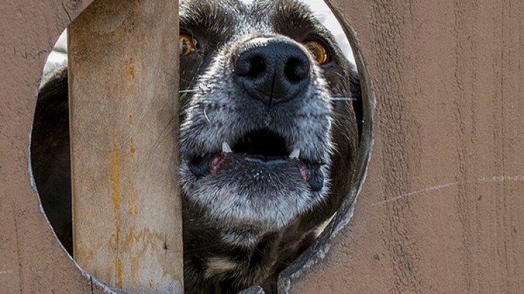 Снимка: Visualhunt