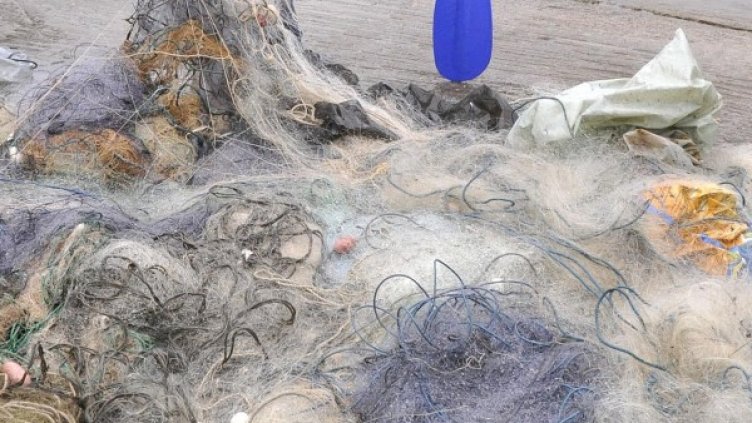 Снимка: Булфото, архив