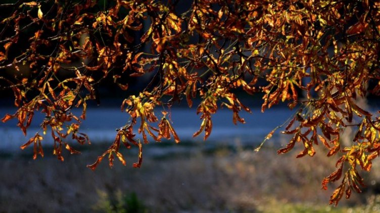 Снимка: Reuters, архив