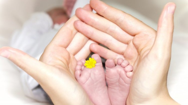 Снимка: unsplash