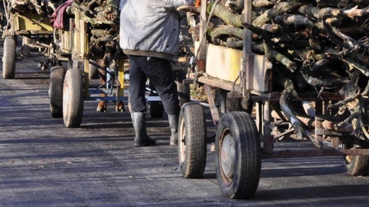 Архив: Булфото