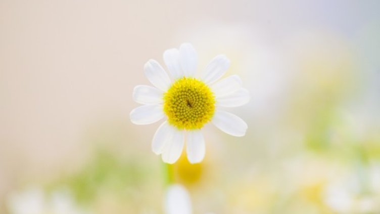 Снимка: unsplash