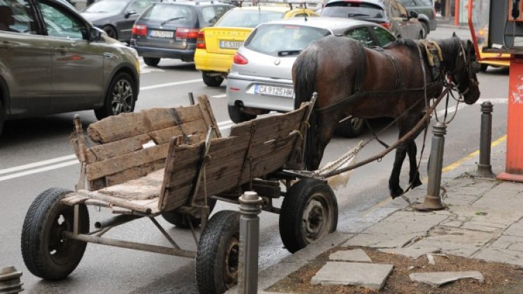 Снимка: Булфото