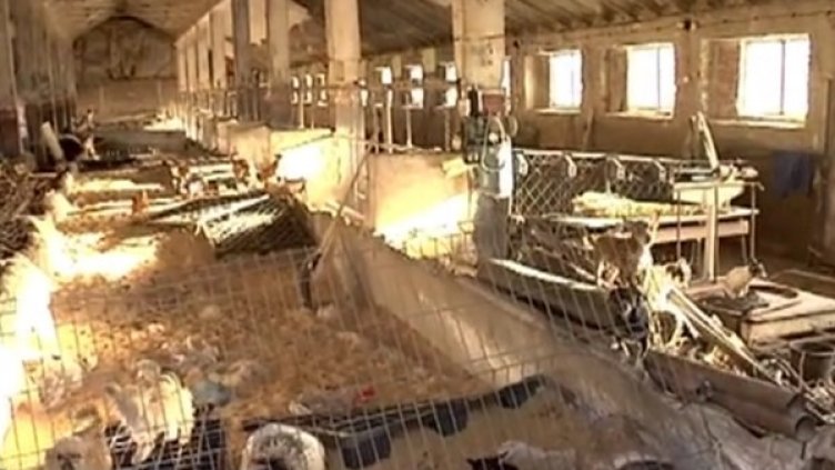 Снимка: Кадър bTV