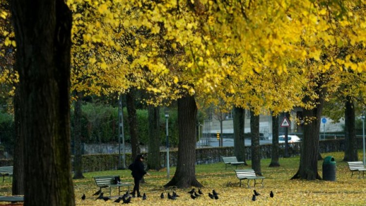 Снимка:  Reuters