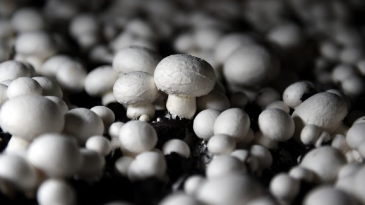 Снимка: Reuters, архив