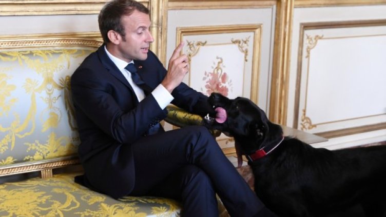 Снимка: Булфото, архив