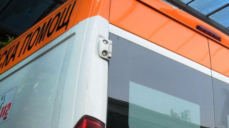 Снимка: Архив, Булфото