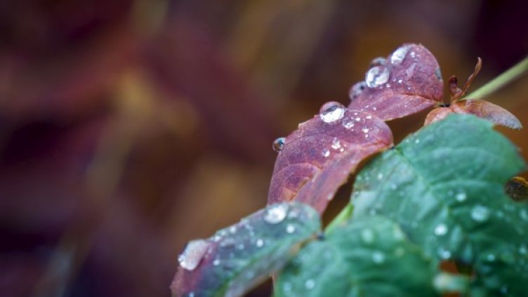 Снимка: архив, Reuters