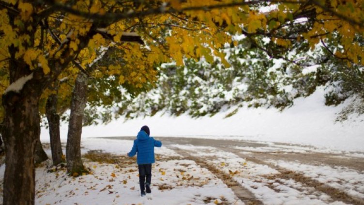 Снимка: Reuters