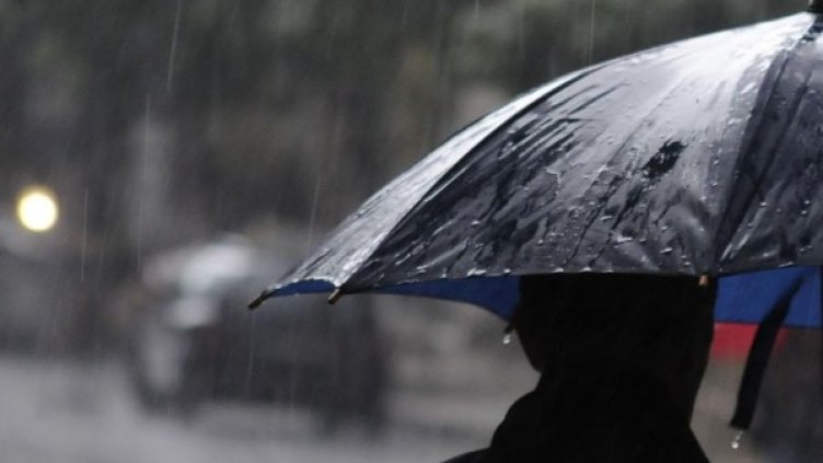 Архив: Булфото