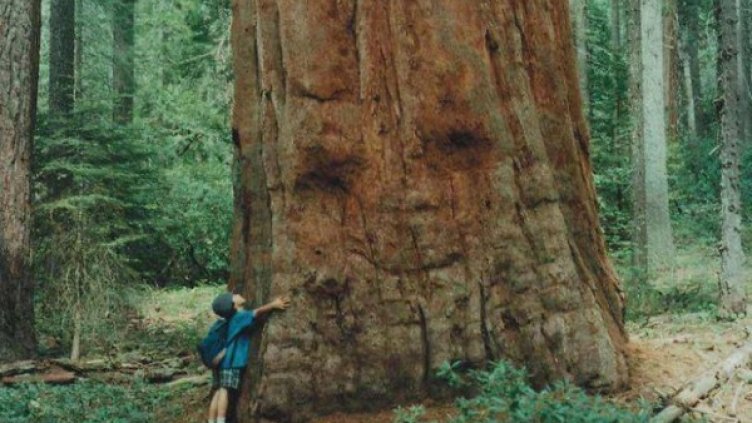 Просто истински! Удивителните форми на живата природа