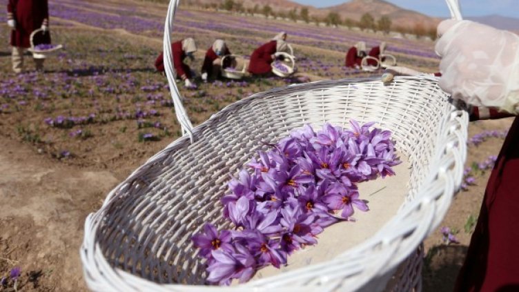 Снимка: архив, Ройтерс