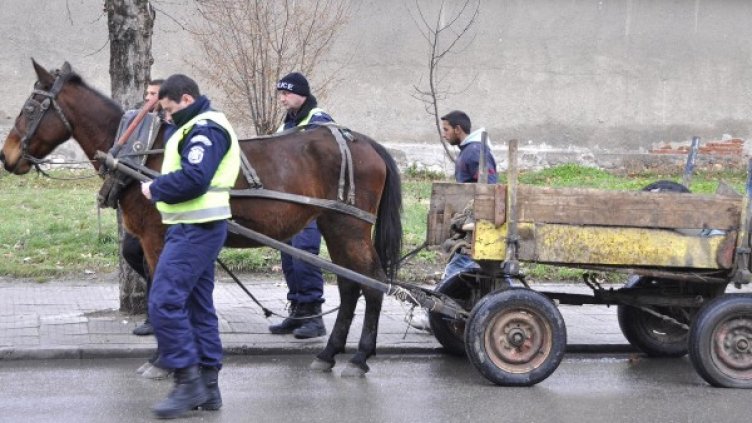 Снимка: Булфото, архив