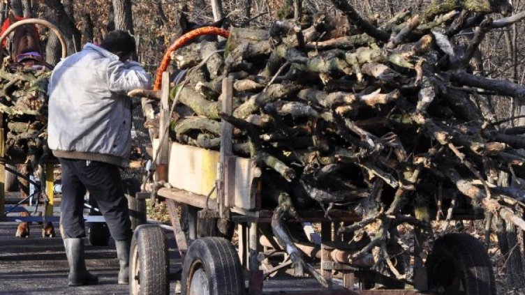 Снимка: Булфото, архив