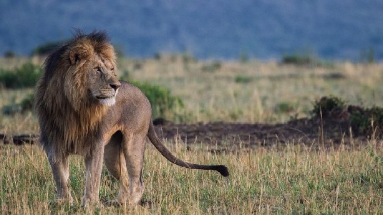 Снимка: Instagram