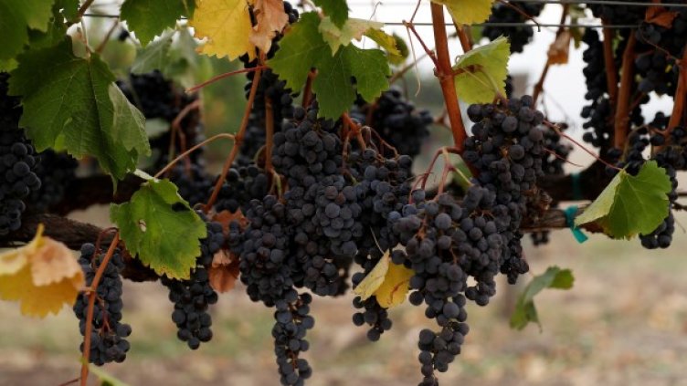 Снимка: архив, Reuters