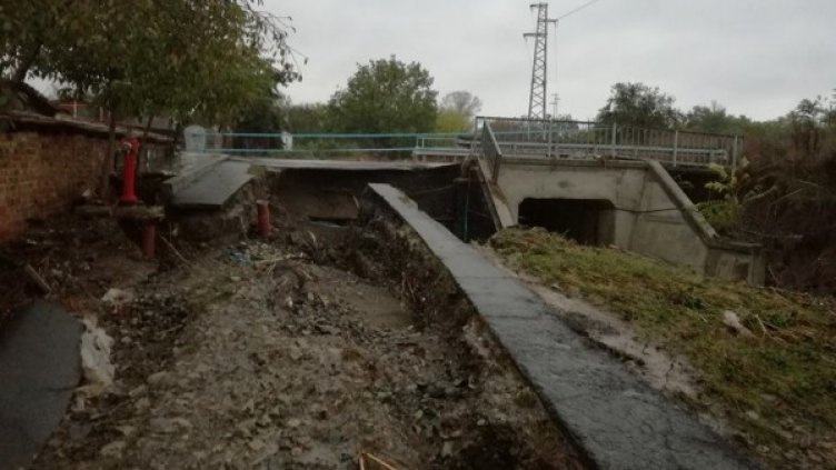 Снимка: Дарик