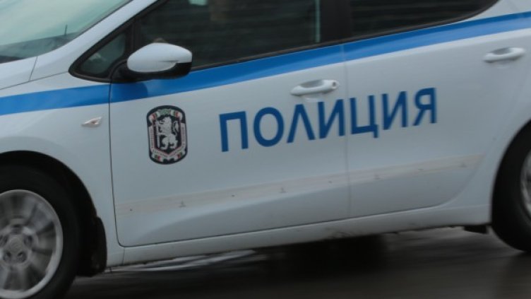 Снимка: Архив, Булфото