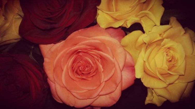 Снимка: Instagram