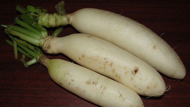 Снимка: wikimedia commons