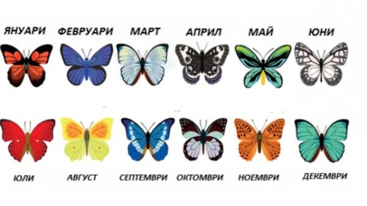 Снимка: wikimedia commons