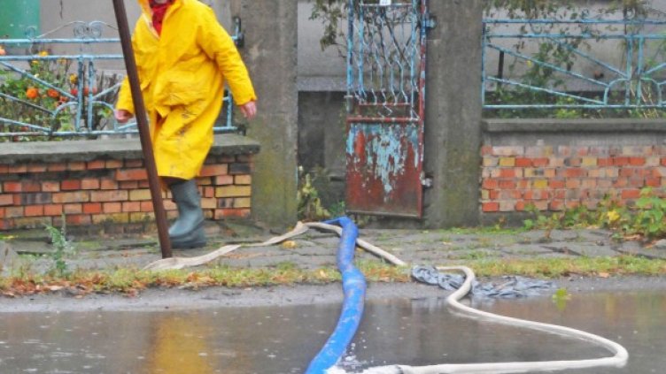 Снимка: Булфото