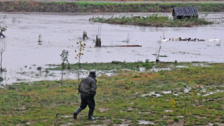 Снимка: Bulphoto