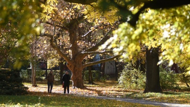 Снимка: архив, Булфото