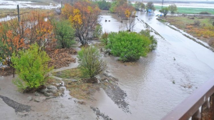 Снимка: архив "Булфото"