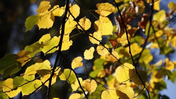 Снимка: Олег Попов / Dnes.bg