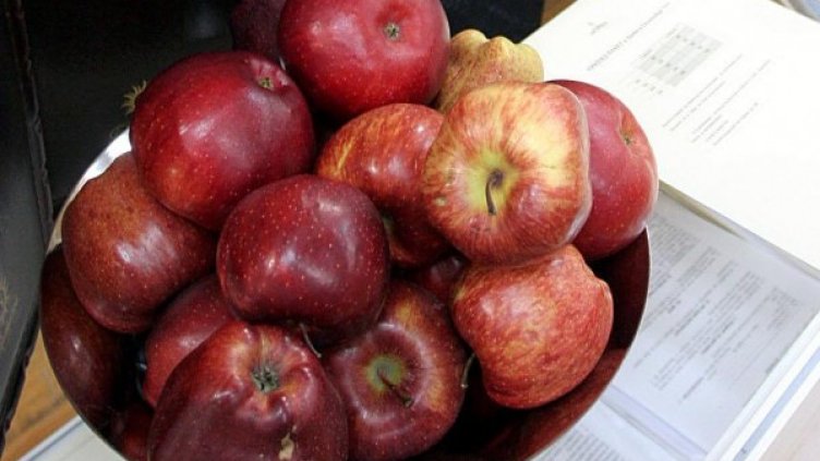 Снимка: архив, Булфото