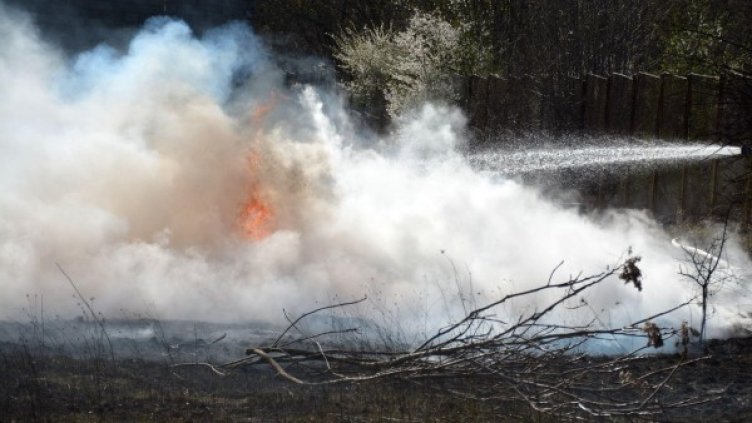 Снимка: архив, Булфото