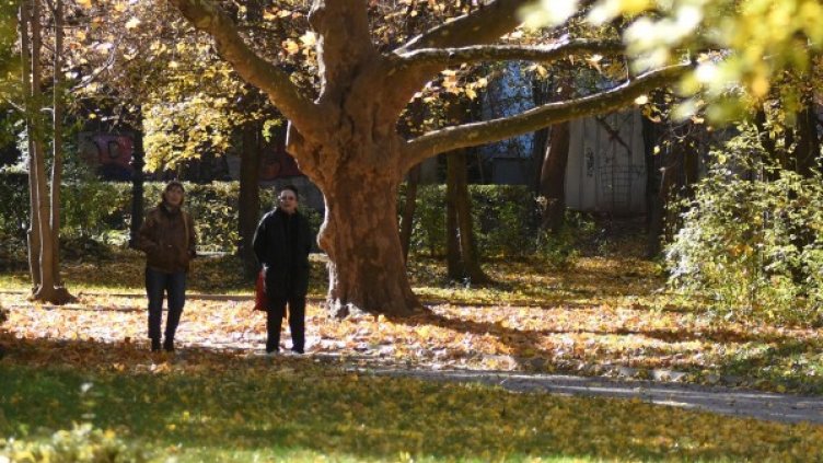 Снимка: архив, Булфото